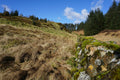 Dunkeld 13/06 ***Fully Booked***